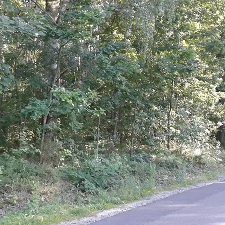 Kaprys בית הארחה *