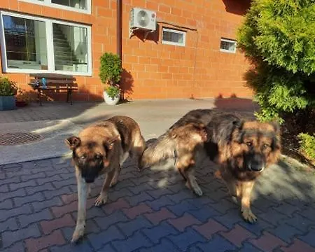 Kaprys בית הארחה Jesionka