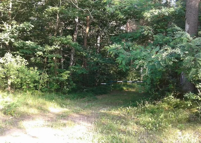 Kaprys Konukevi Jesionka