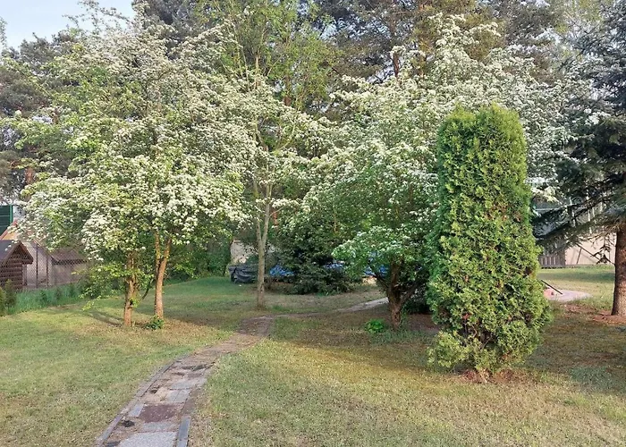 Kaprys Konukevi Jesionka